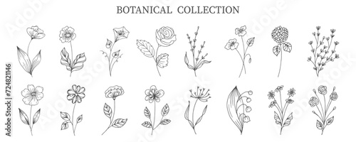 Botanical collection of hand drawn flowers and plants in doodle style. Sketch, line art. Icons, templates, decor elements, vector