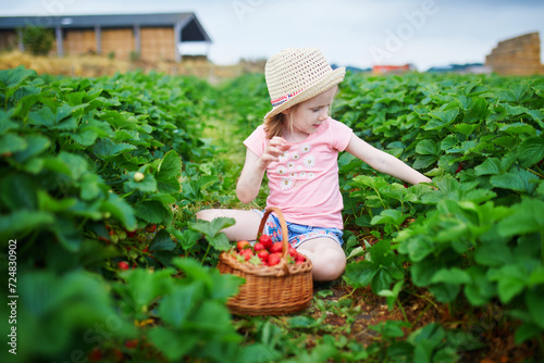 Adorable preschooler girl picking fresh organic strawberries on farm