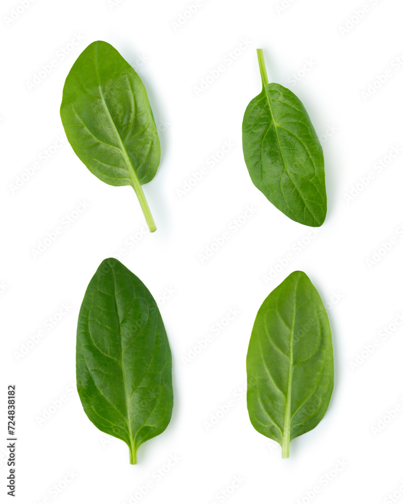Lettuce leaves, arugula and spinach on a white isolated background Lettuce leaves, arugula and spinach on a white isolated background