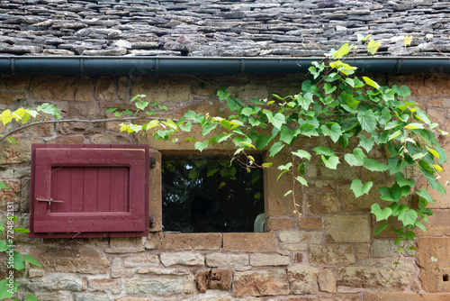 vigne, Borie, maison caussenarde, Rivière sur Tarn, 12, Aveyron, Parc naturel régional des Grands Causses, France photo