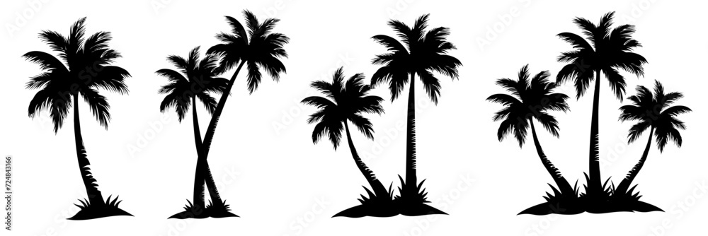 Fototapeta premium palm tree silhouette
