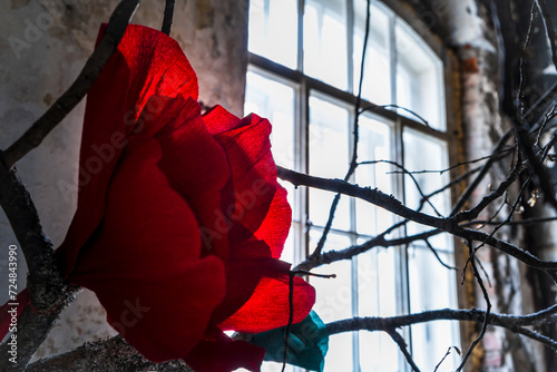 red rose in the wind