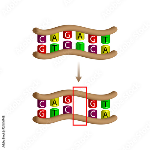 Deletion mutation, the loss of one or more nucleotides from a segment of DNA, Changing sequence of G and C, T and A on DNA strand. Genomics, Scientific design, Vector illustration