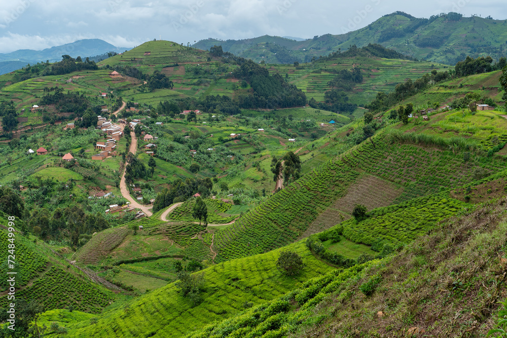 Straße schlängelt sich durch malerische grüne Berglandschaft mit Teeplantagen und kleinen Dörfern 