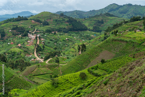 Straße schlängelt sich durch malerische grüne Berglandschaft mit Teeplantagen und kleinen Dörfern 