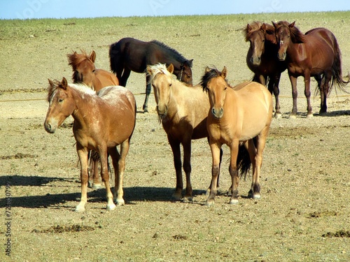 Southern Mongolia