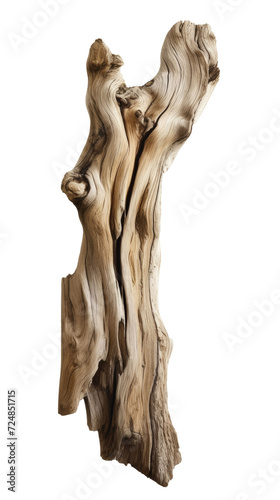 Ancient Driftwood Sculpture - Natural Wood Art