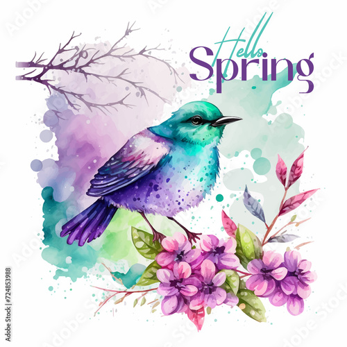 Hello spring bird watercolor paint  © Florin