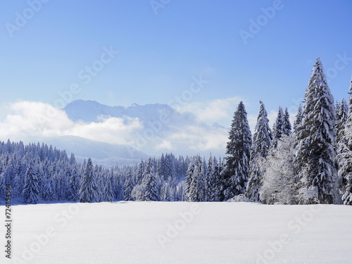 Karwendel Buckelwiesen im Winterkleid