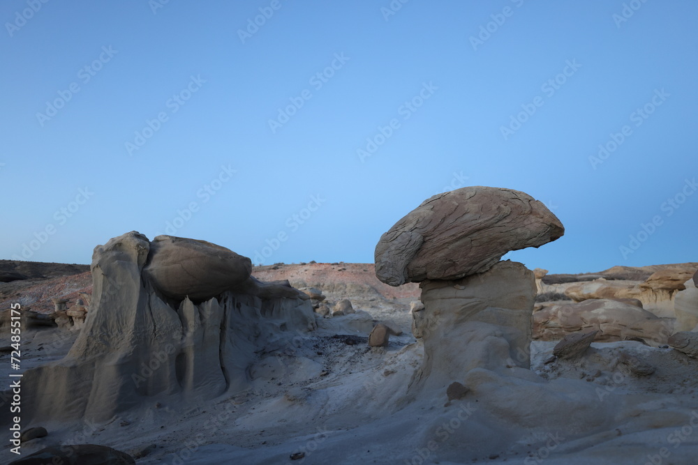 Strange Rock Formation in Bisti Badlands (Alien Throne) New Mexico