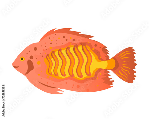 Sea fish, sea flounder on a white background. Zoological concept. Sea animals illustration, vector