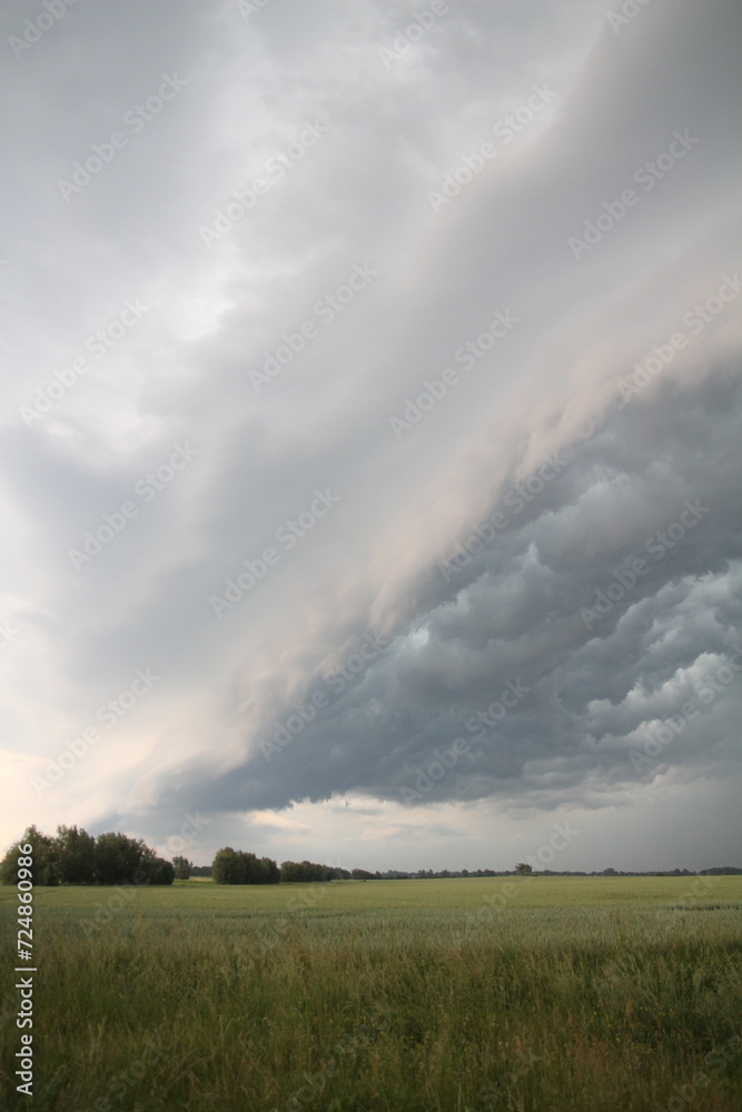 An open field with fluffy clouds scattered across the sky, creating a picturesque and serene atmosphere. An open field with fluffy clouds scattered across the sky, creating a picturesque and serene atmosphere.