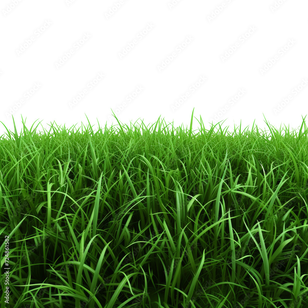 Fototapeta premium A Field of Lush Green Grass on a Isolated on Transparent Background
