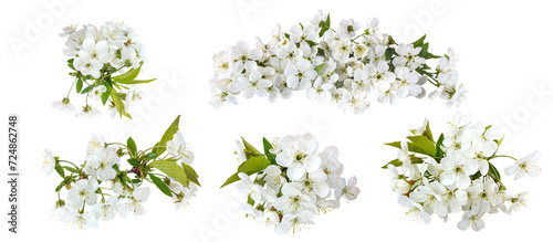 Romantic set of cherry blossom for valentine day and love illustration. Cherry blossom isolated on a transparent background, flat lay, top view.