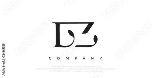 Initial LZ Logo Design Vector