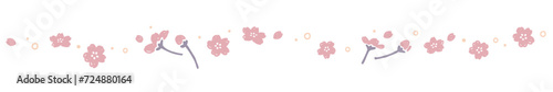 桜の罫線