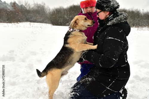 A pet dog cuddles up to a girl in the snow in winter