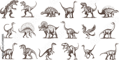 Set of Dinosaur, hand drawing, engraving, ink, line art, vintage vector  © Junnie