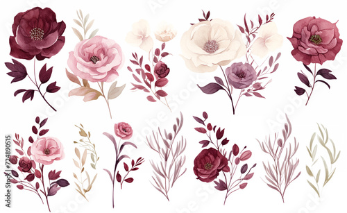 Set watercolor elements of roses collection garden red, burgundy flowers, leaves, branches, Botanic illustration isolated on white background.