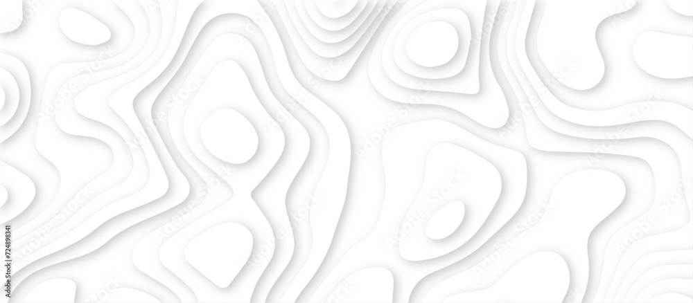 Abstract white background with paper cut out layers .Luxury paper cut background, Abstract decoration .Vector illustration. Material design. Paper cutting texture. Applicable for business banner. Abstract white background with paper cut out layers .Luxury paper cut background, Abstract decoration .Vector illustration. Material design. Paper cutting texture. Applicable for business banner.