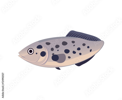 Fish of colorful set. This illustration showcases a stunning design of bright, tropical fish, brought to life with a playful cartoon style against a pristine white backdrop. Vector illustration.