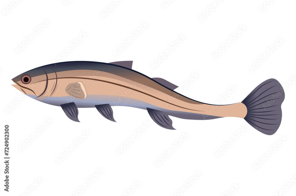 Fish of colorful set. In this enchanting image bright and colorful aquatic creature take center stage in a captivating cartoon design against a white background. Vector illustration. Fish of colorful set. In this enchanting image bright and colorful aquatic creature take center stage in a captivating cartoon design against a white background. Vector illustration.