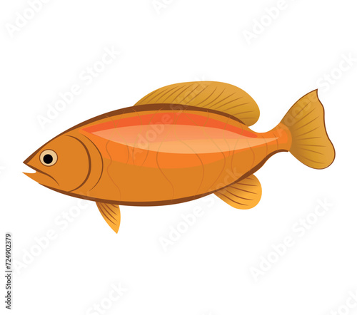 Fish of colorful set. This imaginative illustration showcase a golden fish that is portrayed in a whimsical cartoon design on a white canvas. Vector illustration.