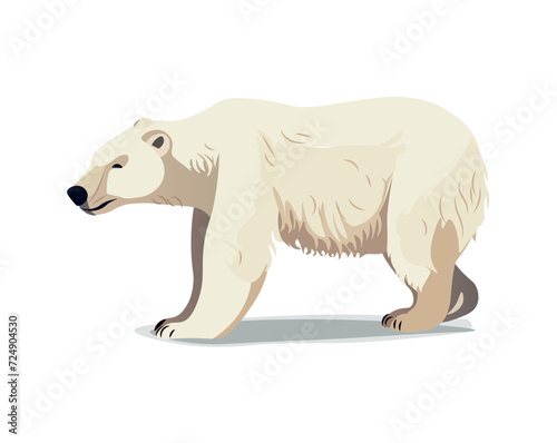 Bear of colorful set. This illustration captures the essence of the polar regions, featuring a lovable polar bear in a cute cartoon style. Vector illustration.