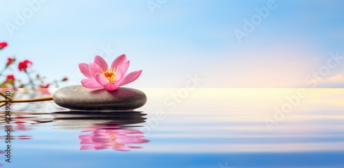 A pink flower is perched delicately atop a solid rock, surrounded by calm water.