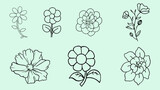  Flower Vector Collection, Vector Artwork Perfect for Greeting Cards, Invitations, and Spring-themed Concepts.