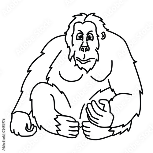 Funny orangutan cartoon for coloring book. photo