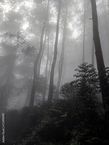 Afternoon fog covers the mountains and roads