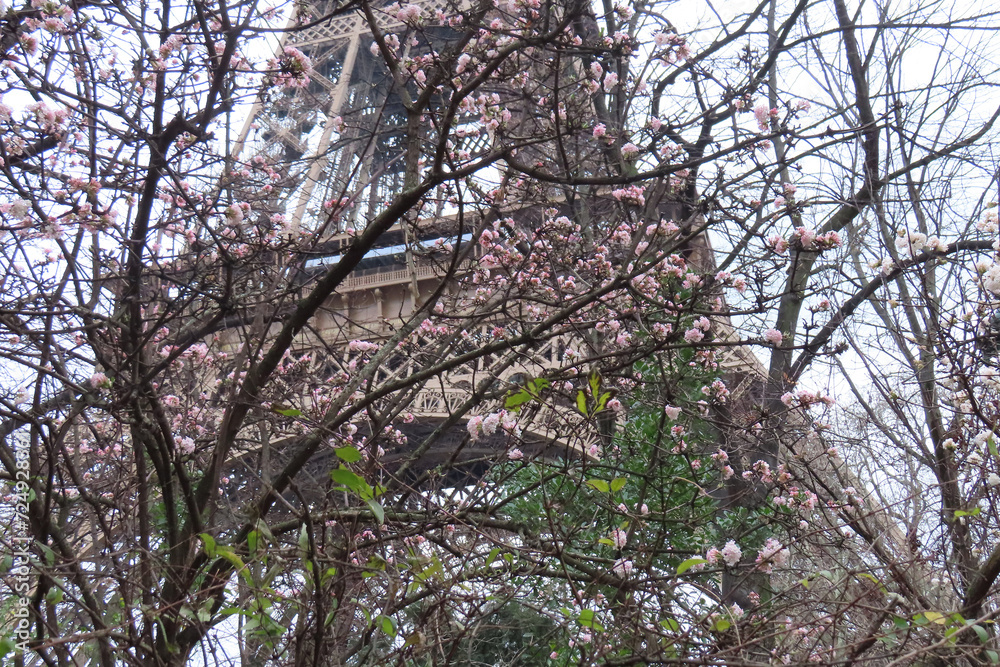 the eiffel tower in paris and flowering trees the eiffel tower in paris and flowering trees
