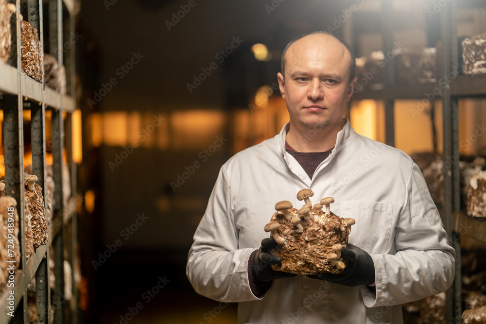 serious Mycologist from mushroom farm grows shiitake mushrooms Scientist holds mushrooms