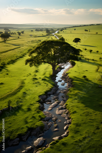 Sustainable Living: A Lush Landscape Powered by Renewable Energy