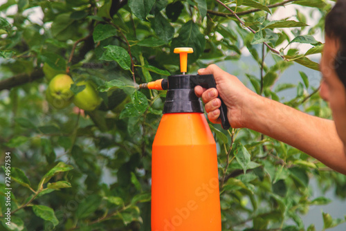A man sprays trees in the garden. Selective focus.