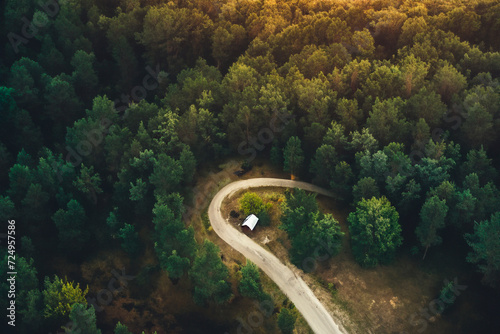 droga las widok z góry z drona drzewa korony © Colorful Soul