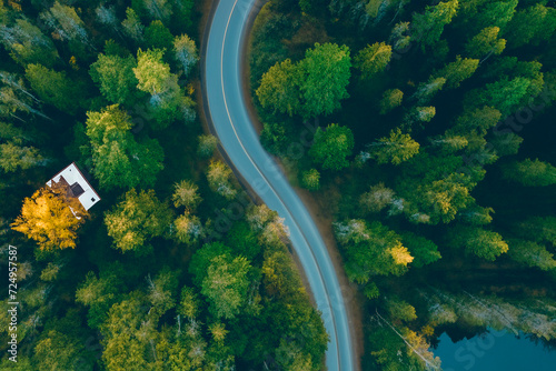 droga las widok z góry z drona drzewa korony