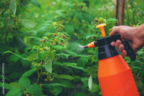 A man sprays trees in the garden. Selective focus.