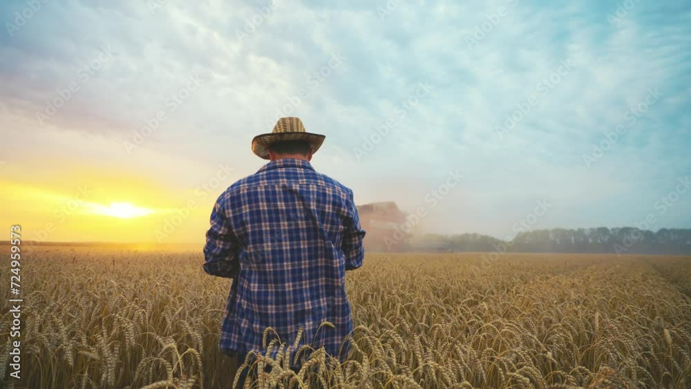 Farmer worker man in hat with tablet working on field controls working of combine harvester ripe wheat at sunset, back view. Food production, farmland, farm industry, agribusiness combine concept. Farmer worker man in hat with tablet working on field controls working of combine harvester ripe wheat at sunset, back view. Food production, farmland, farm industry, agribusiness combine concept.