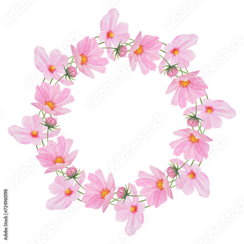Pink Cosmos watercolor illustration. Hand drawn botanical painting, floral frame. Colorful flower clipart for summer or autumn design of wedding invitation, print, greeting, sublimation, textile