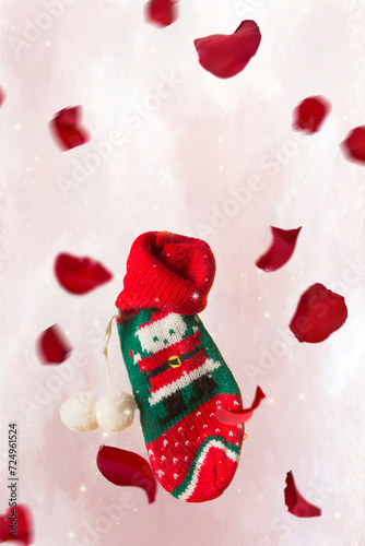 stocking to leave Santa Claus, gift days and party