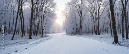 Scenic Snowy Forest Pathway