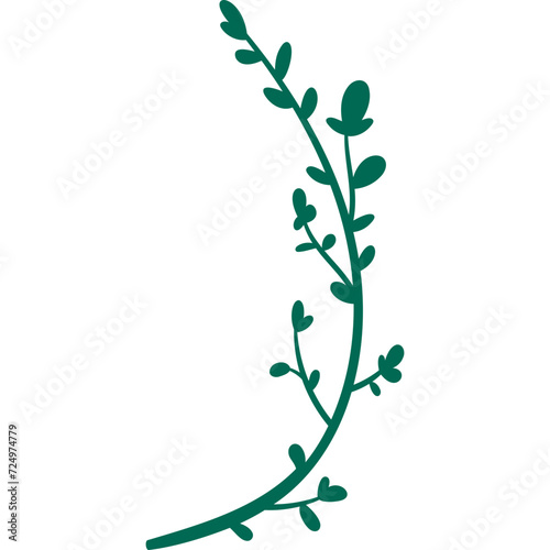 branch of tree