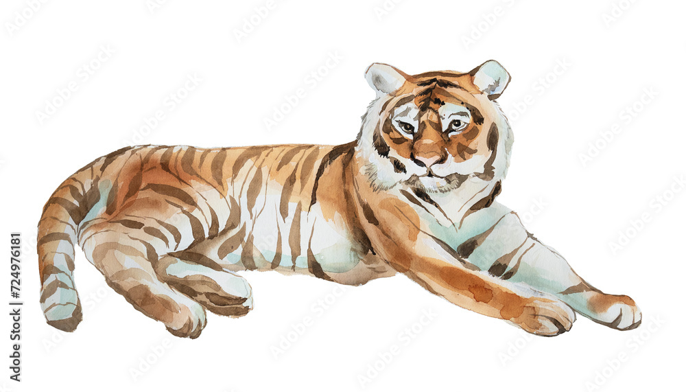 Obraz premium Watercolor tiger illustration. hand painted wild animal design. Tiger portrait painting.