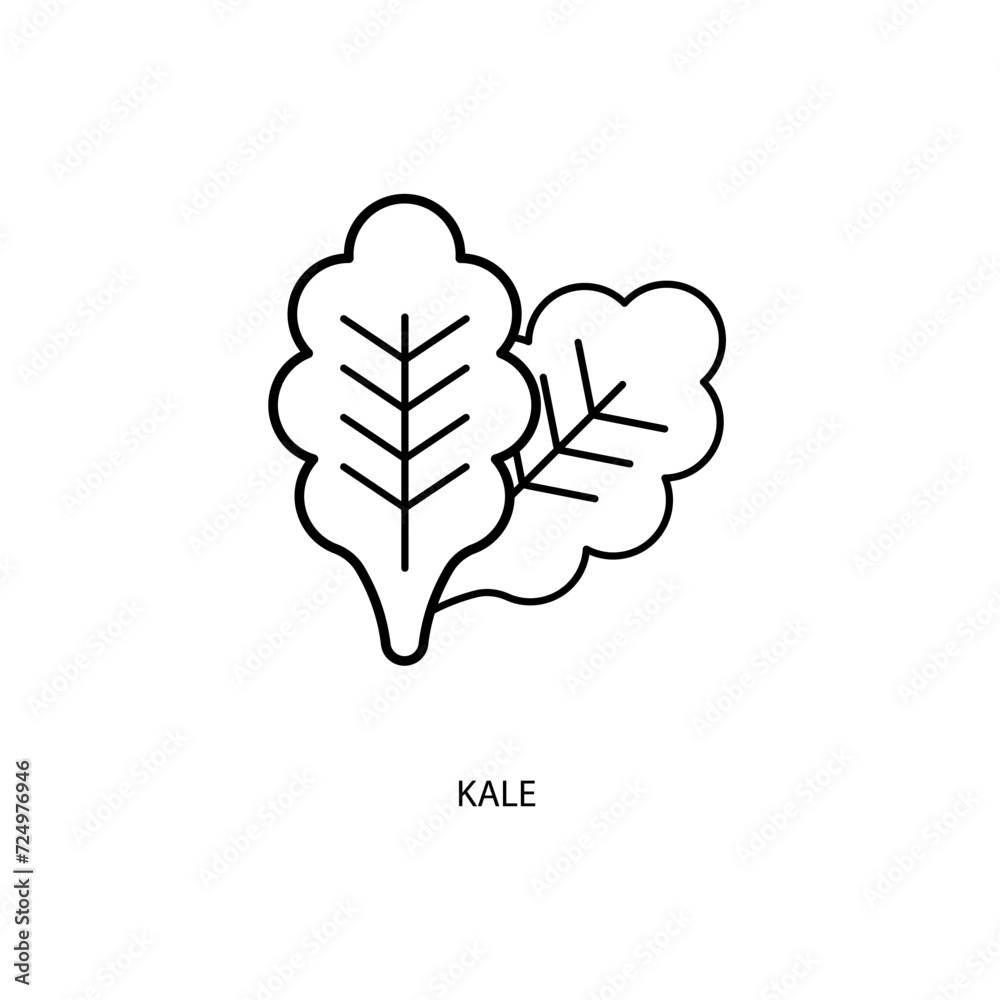 kale concept line icon. Simple element illustration. kale concept outline symbol design. kale concept line icon. Simple element illustration. kale concept outline symbol design.