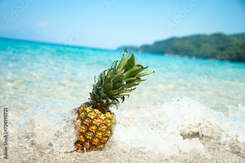 A pineapple in the water by the sea in nature weekend travel