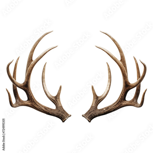Deer antlers isolated on a white or transparent background close-up. Overlay of deer antlers for insertion. A design element to be inserted into a design or project.