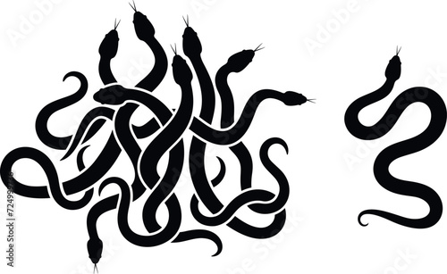 Snake logo. Isolated snake on white background