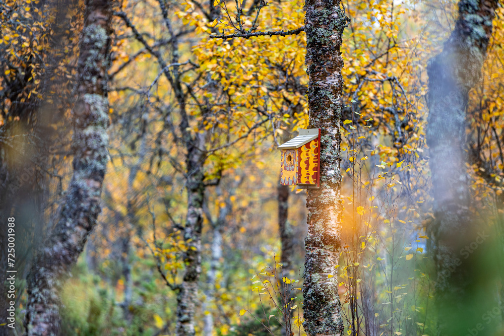 Casas para aves en bosque noruego en otoño